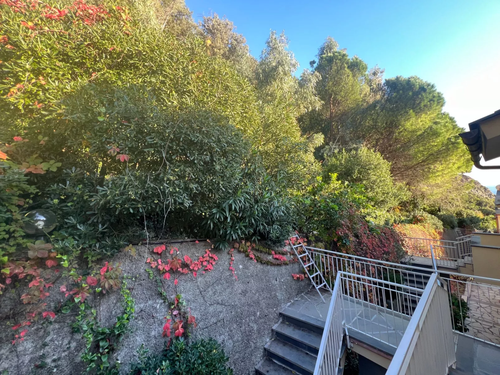 House Agave by Holiday World-Dehors