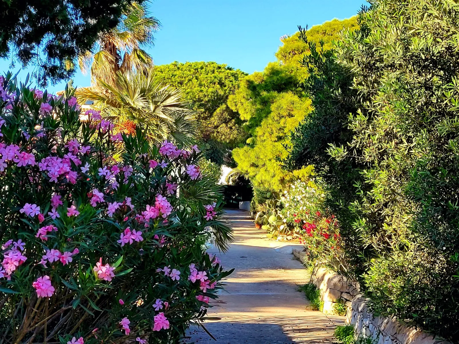 Kleines ruhiges Ferienhaus direkt am Meer-Outside