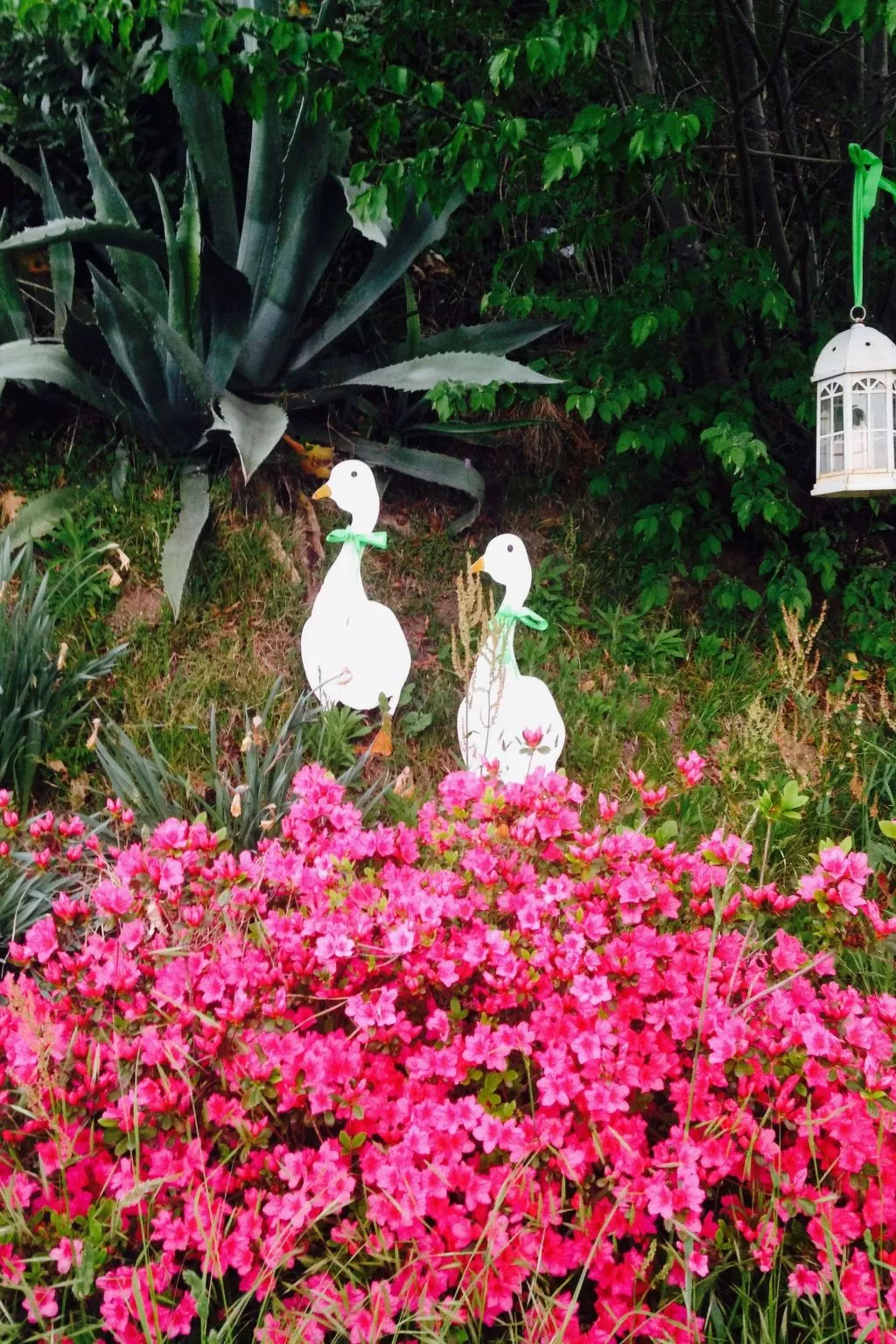 'Casa Domenica' mit Blick aufs Wasser-Draußen