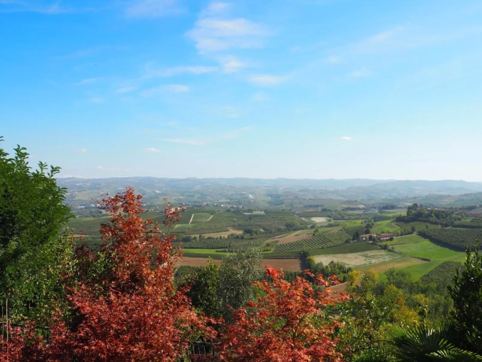 Wohnung in Verduno mit Garten-Draußen