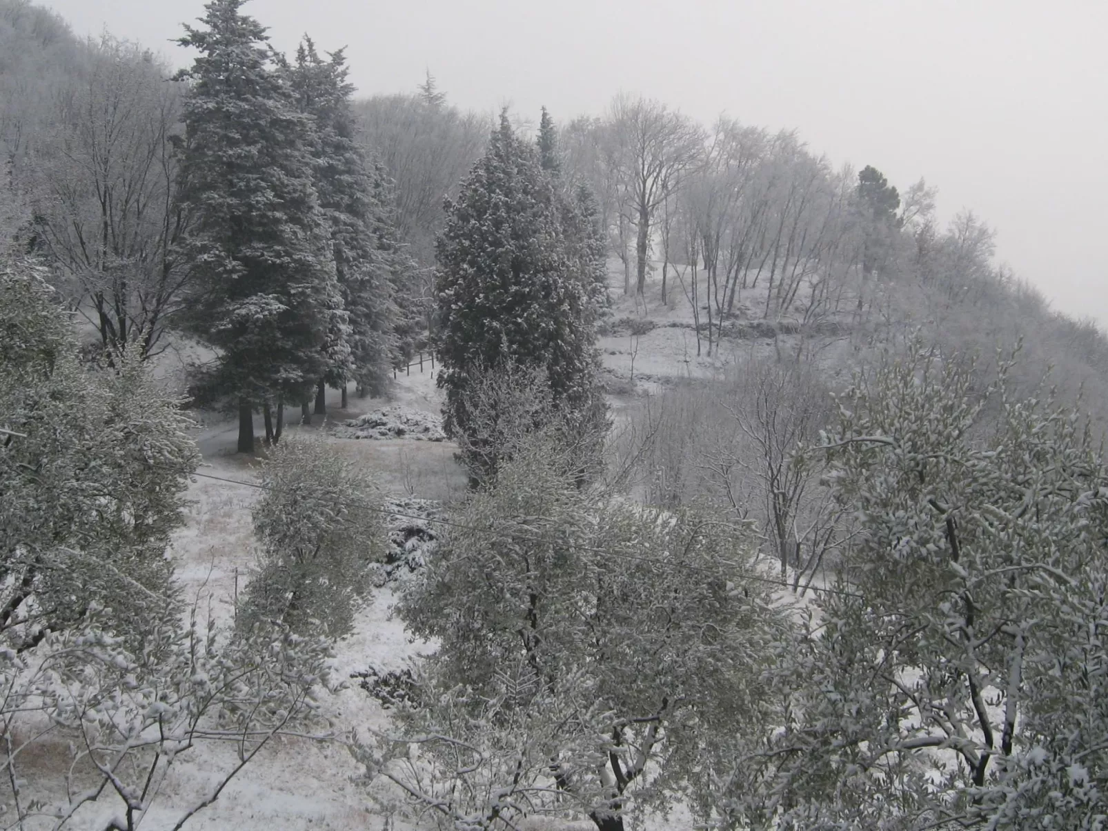 Niederwaldhaus in Solto Collina-Dehors