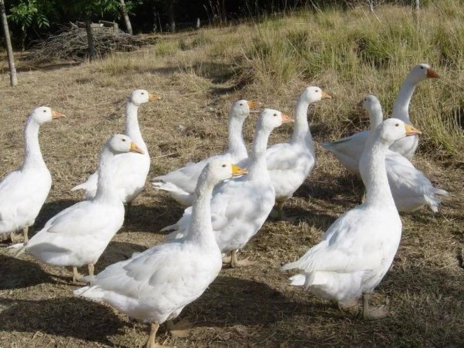 Intero Agriturismo-Outside