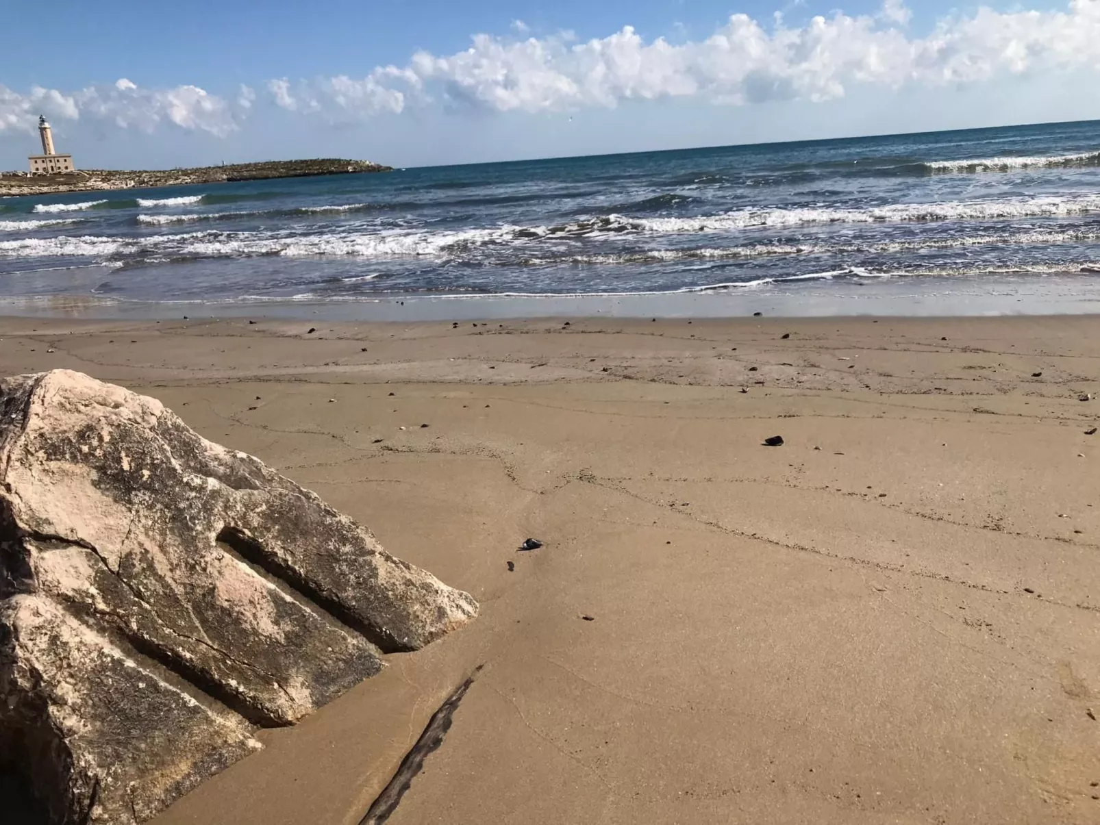 Wohnung in Vieste-Image-tags.info