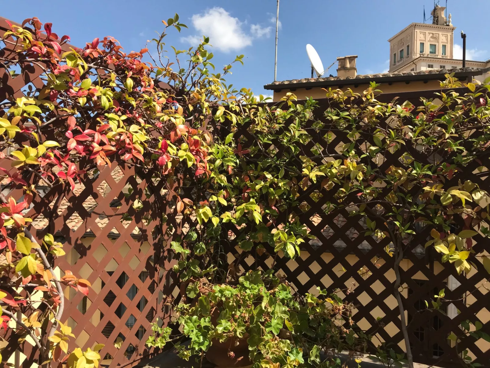 Ruhige Dächer im Herzen von Rom-Draußen
