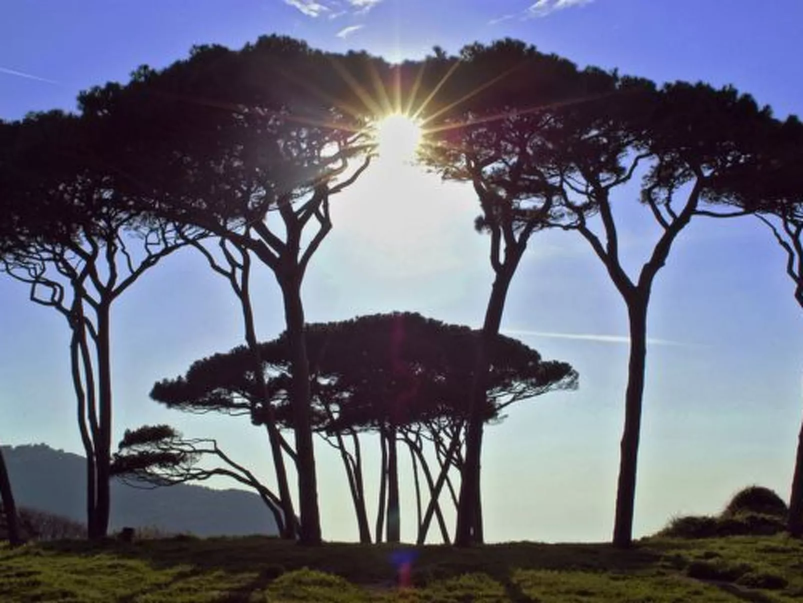 Agritourismus Val di Sterza-Draußen