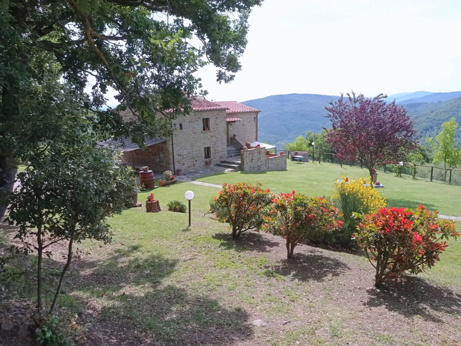 Wohnung la Mimosa-Image-tags.info