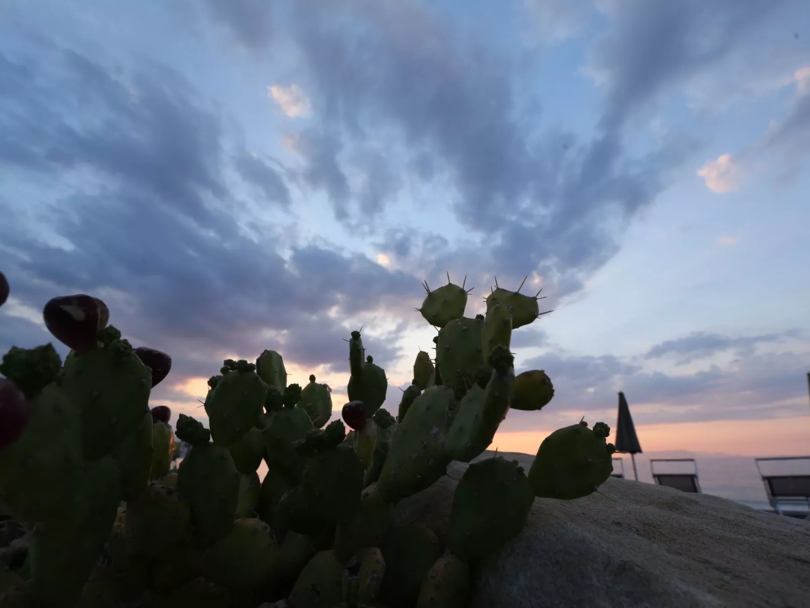 Appartement in Marchesana mit Großer Terrasse-Outside