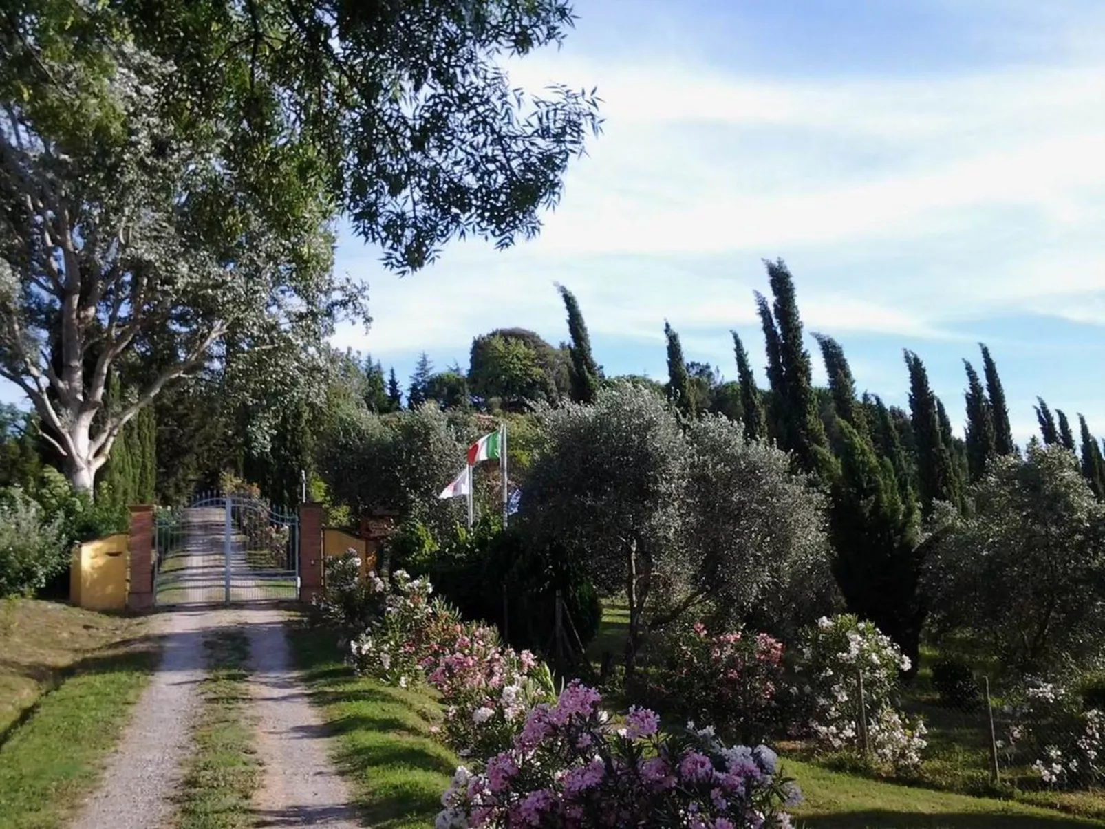 'Donatello leccino'-Outside