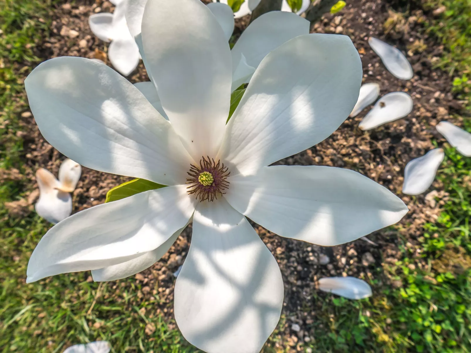 Wohnung in Strandnähe-Draußen