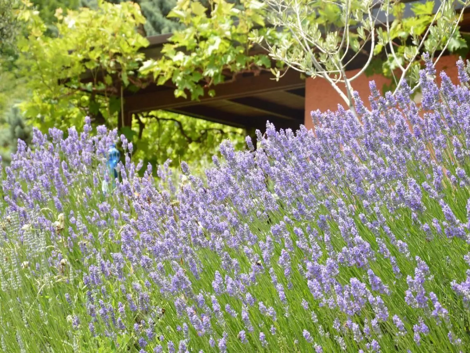 Oliveto Tignale-Outside