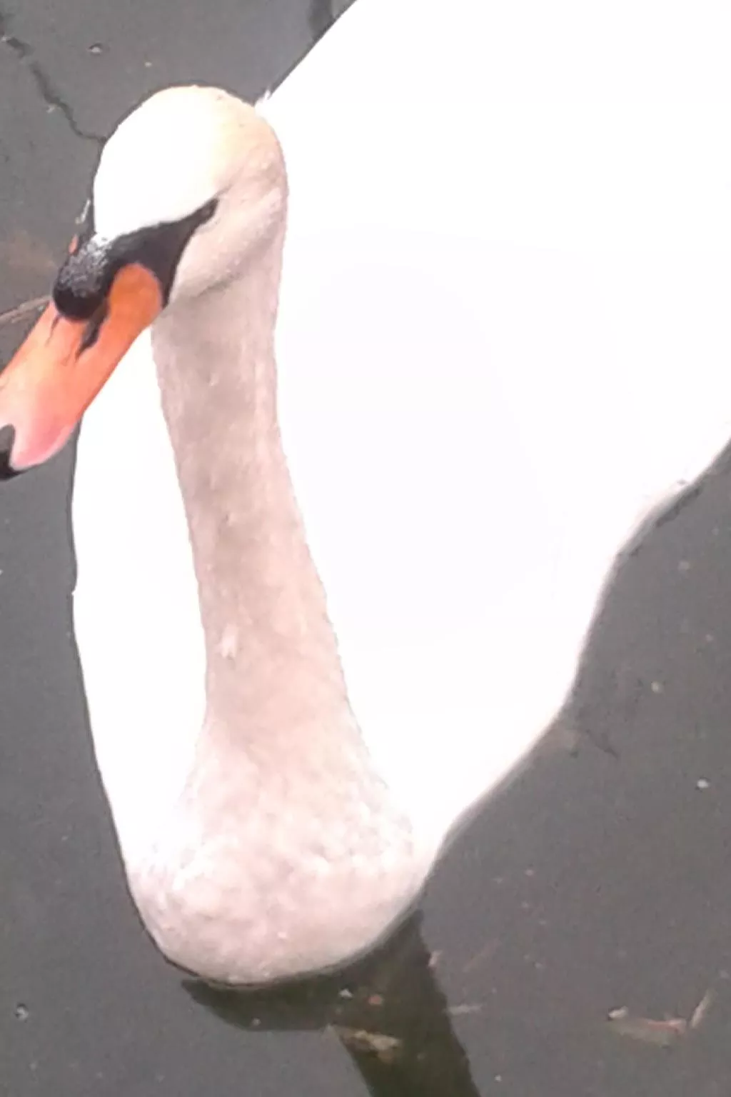 In einer Villa mit Garten und Blick auf den Gardasee-Outside