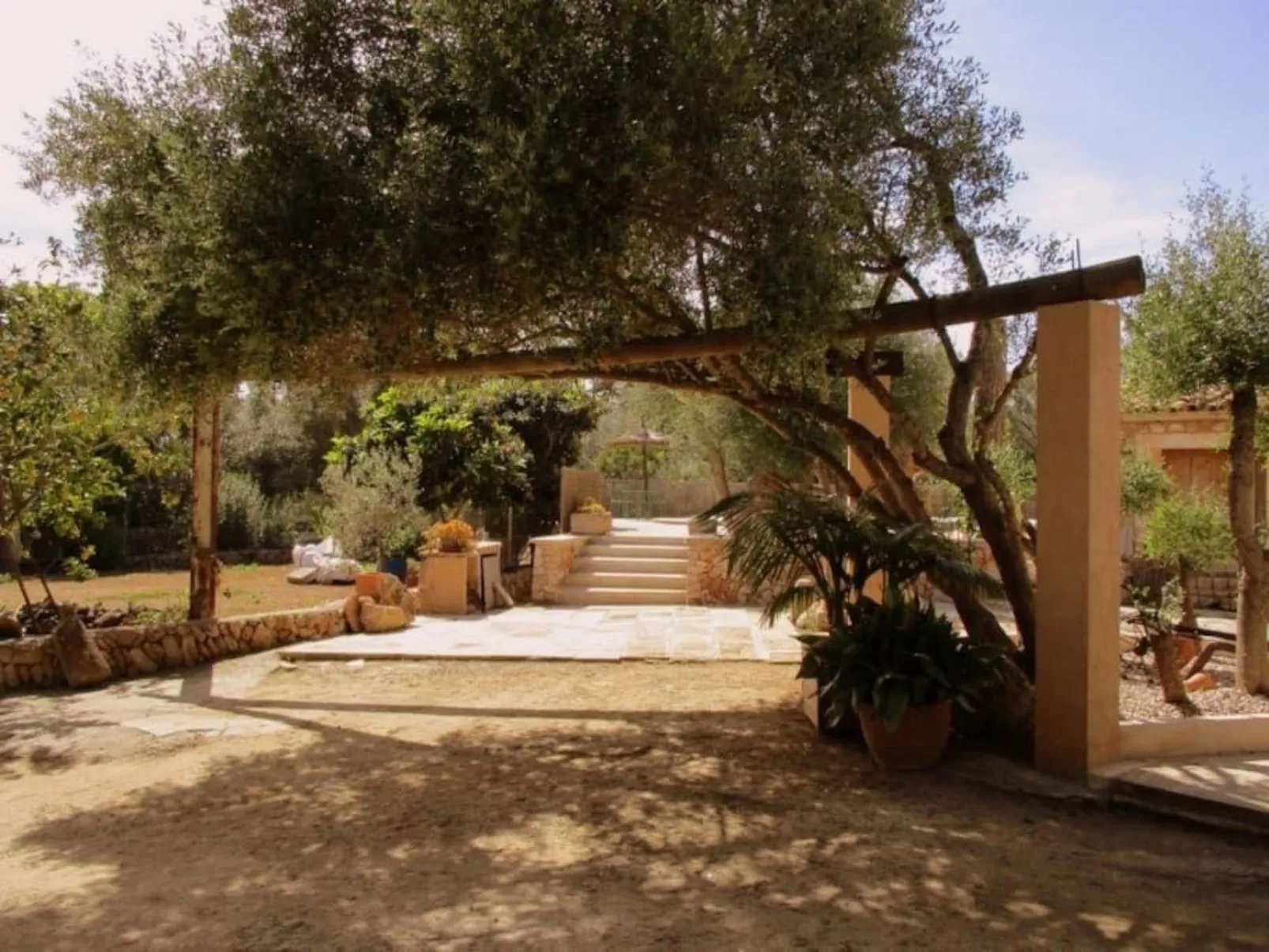 Finca Alfabia Campos-Draußen