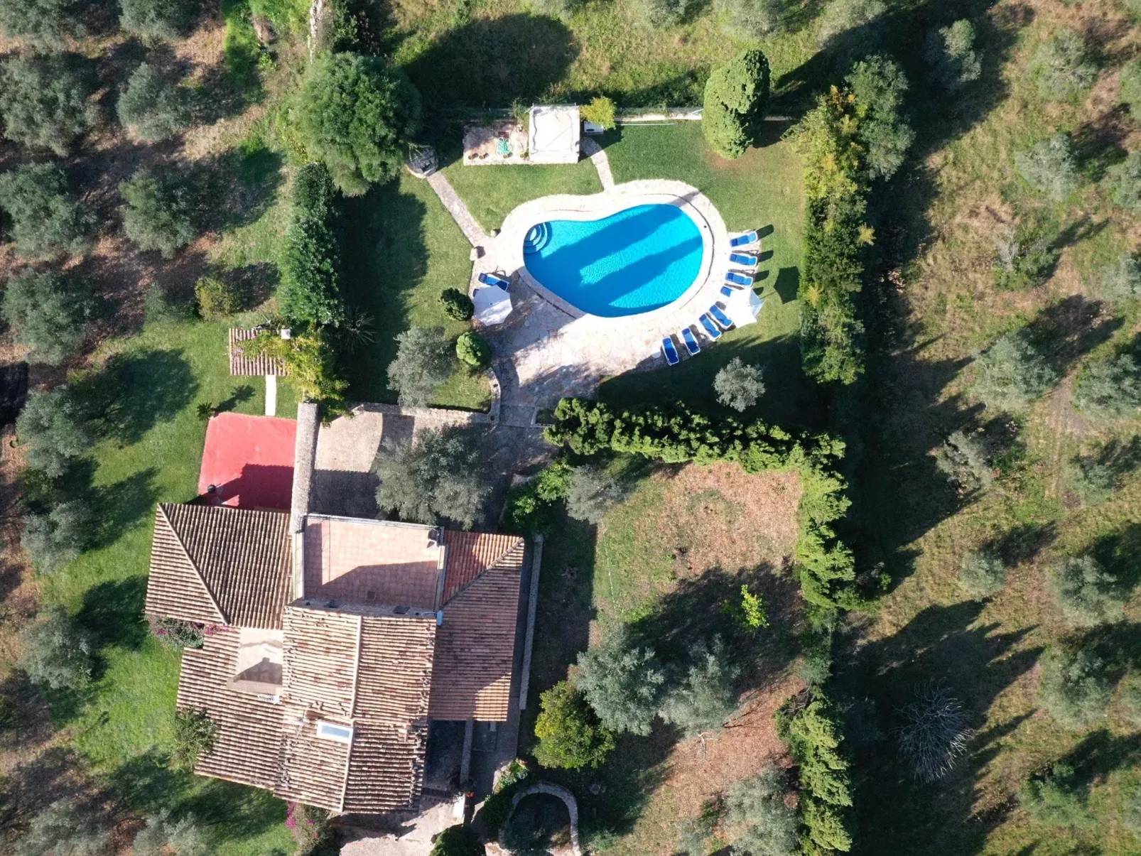 Charmante Villa in der Nähe von Cala San Vicente-Outside