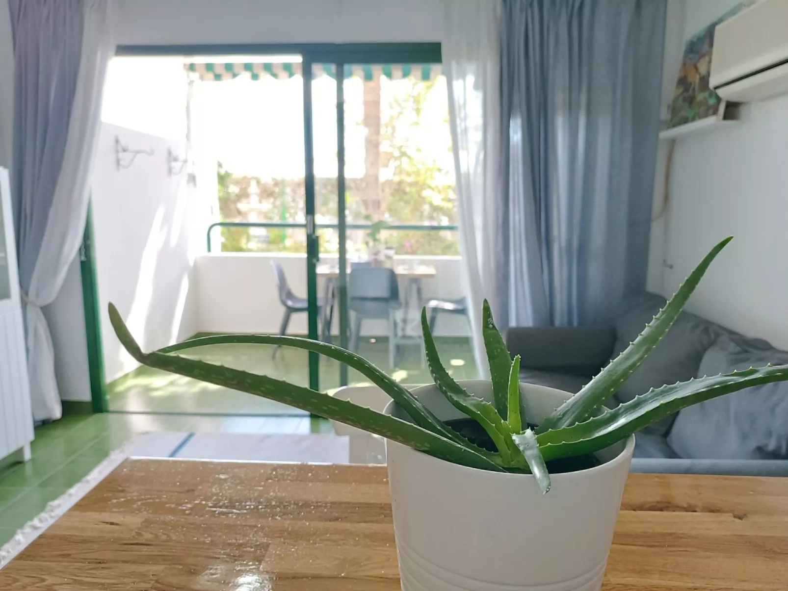 "Surycan 133" mit Terrasse-Image-tags.info