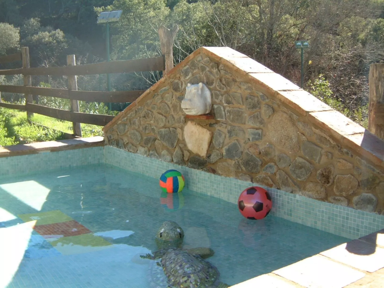 La Cigüeña-Image-tags.info