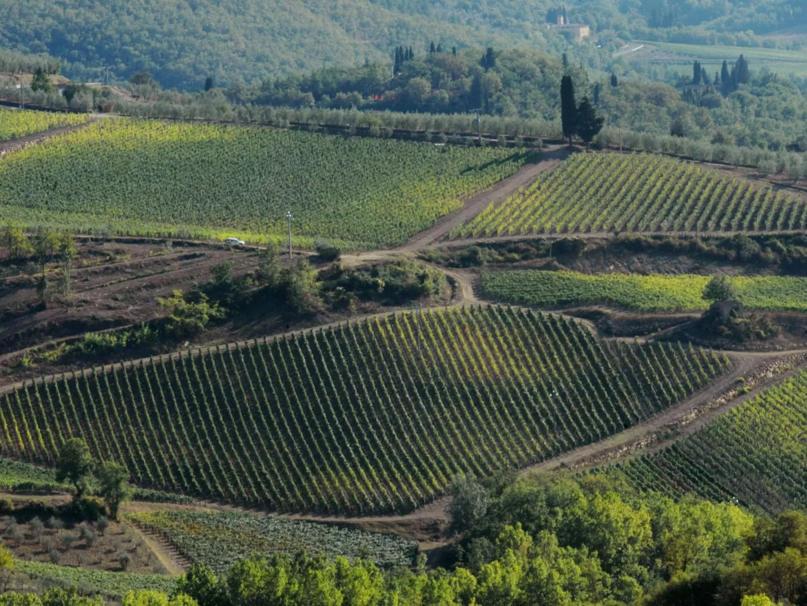 Anwesen "Frantoio" mit Infinity-Pool-Outside