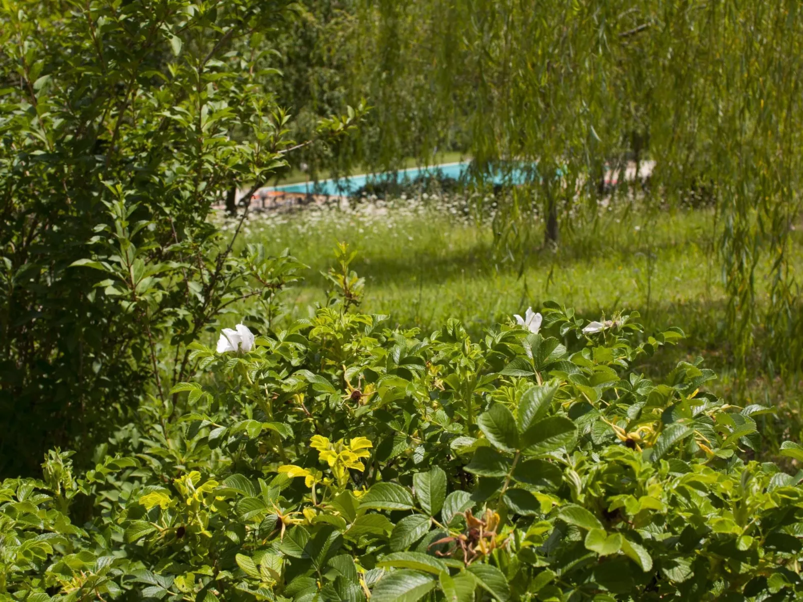 Wohnung in Figline Valdarno mit Gemeinschaftspool-Outside