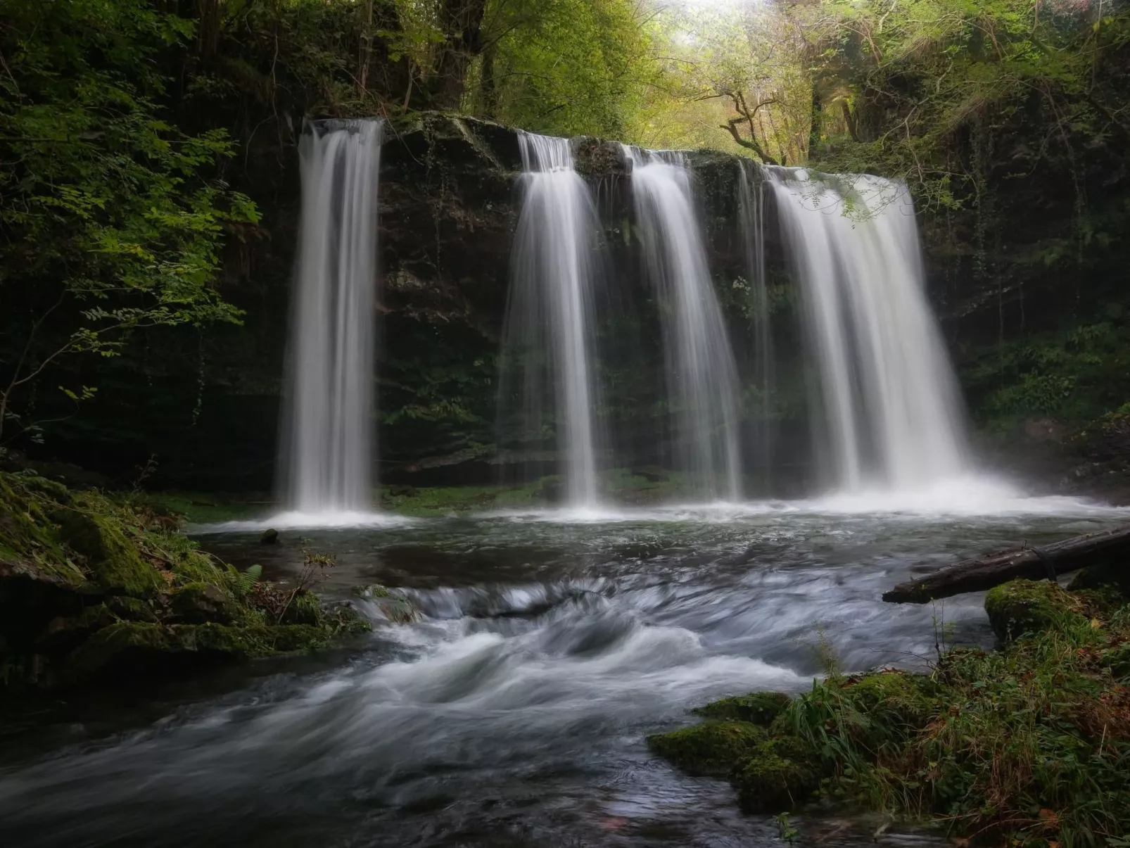 Fachwerkhaus mit Garten-Image-tags.info