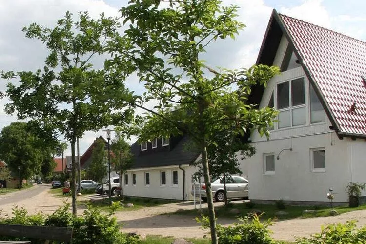 Ferienwohnung Holunder-Exterior summer