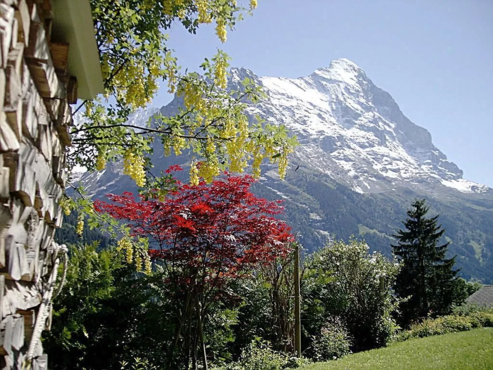 Chalet Mislin, Grindelwald direkte Bergsicht-Draußen