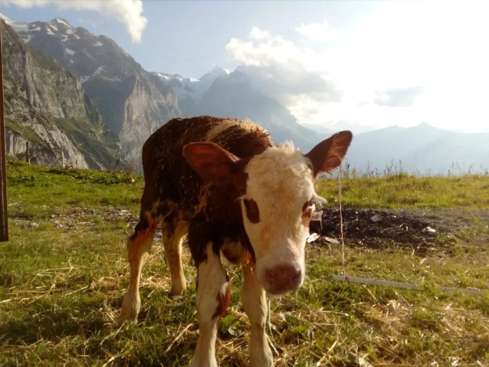 Bühlengasse 6-Dehors