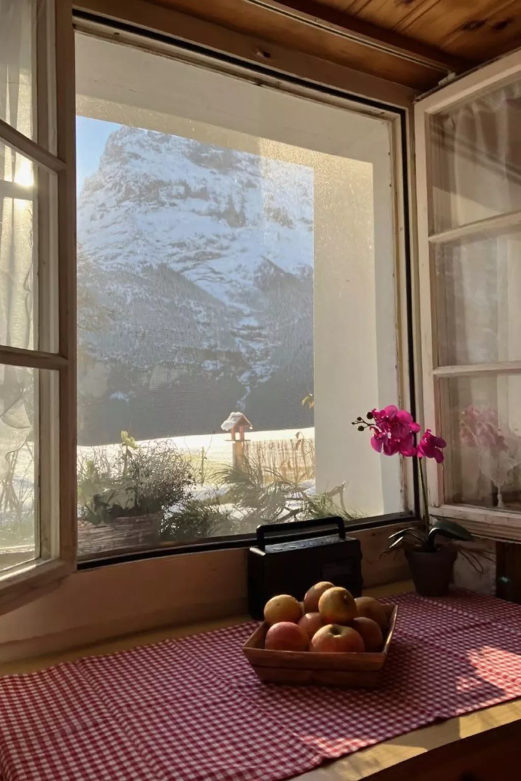 Gemütliches SINGLE-Studio-Inside