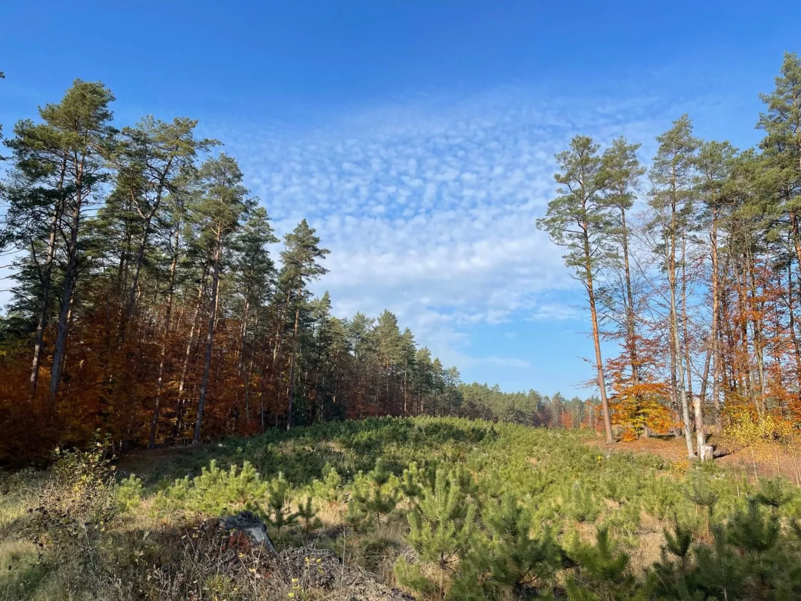 Vogelecke - abseits des Trubels und der Hektik-Draußen