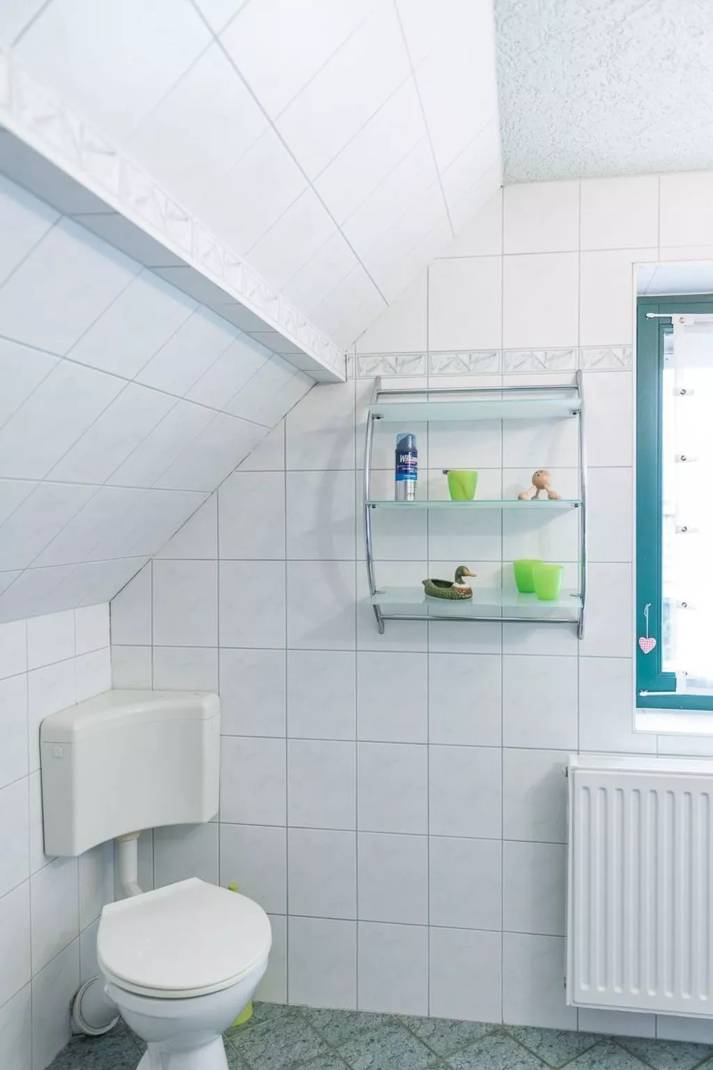 Löwenzahn mit Holu-Inside