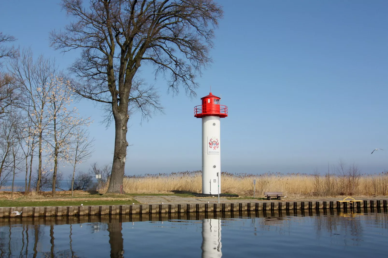 FeWo Ueckermünde-Areas summer 5km