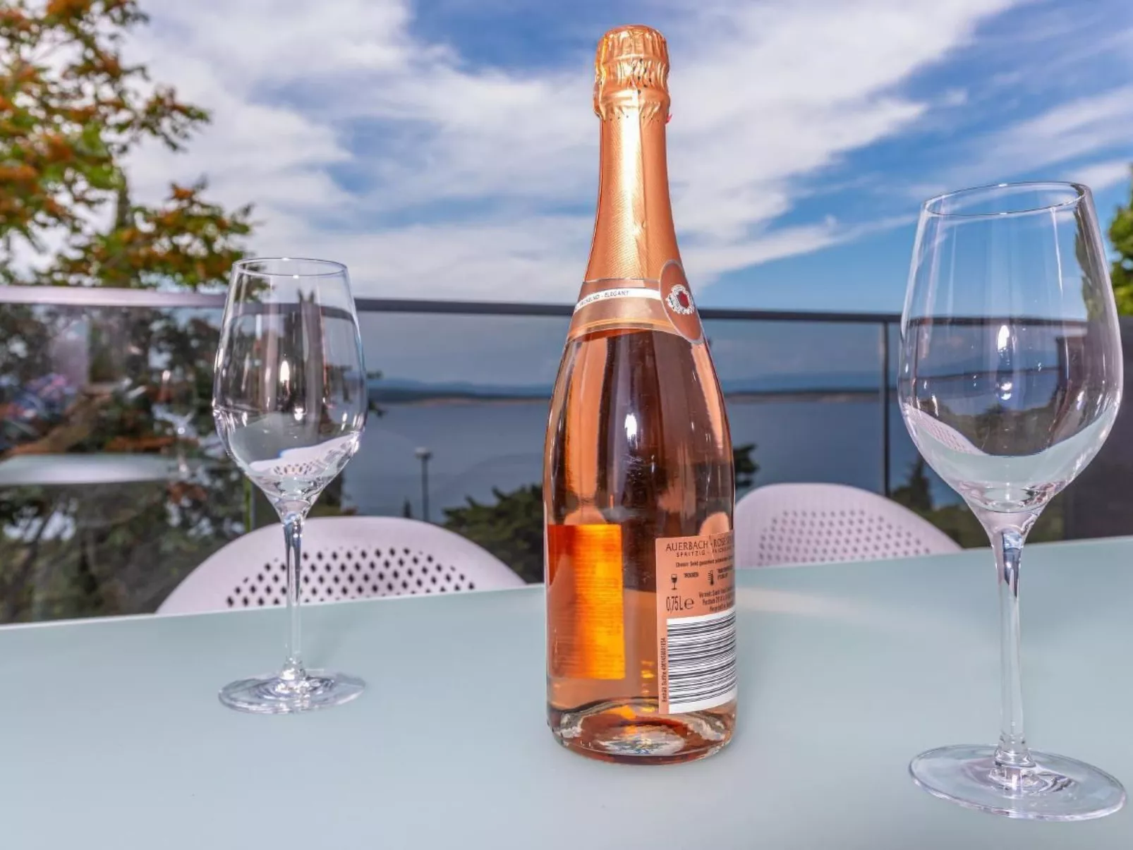 Apartment Maxim-Dehors