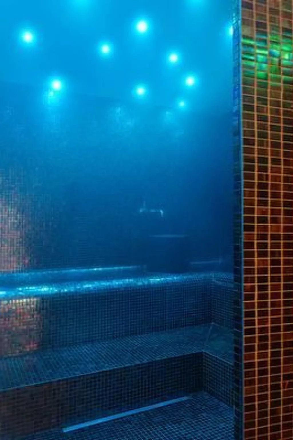 Alpine Lodge 4-Bett-Wohnung Chesa Plattner / "Be-Outside