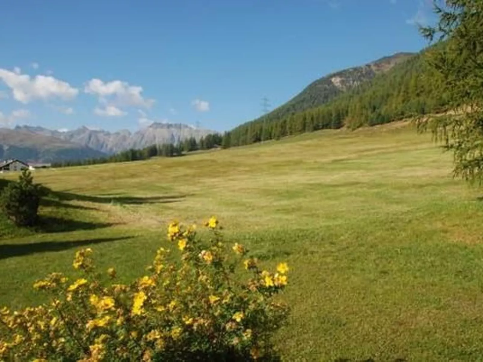 Chesa Auricula-Outside