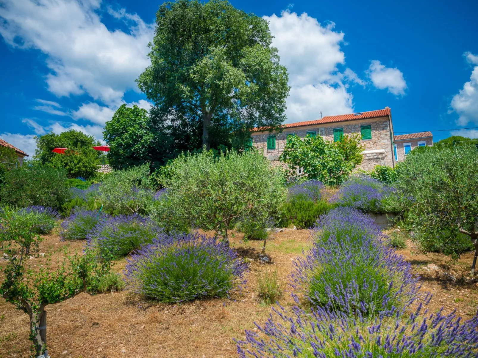 Ferienvilla Vesna in Crikvenica-Dehors