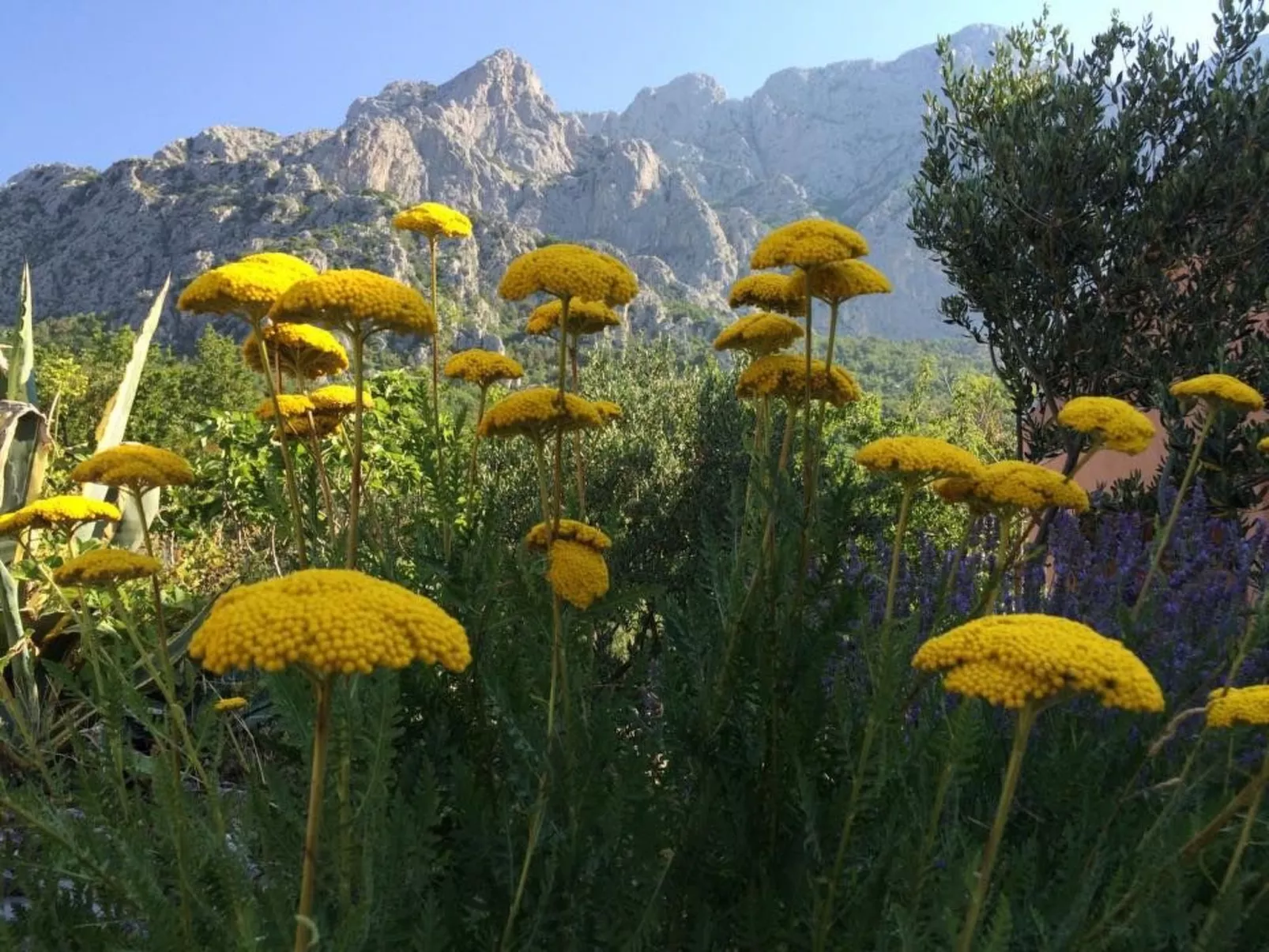 Bella Vista-Draußen