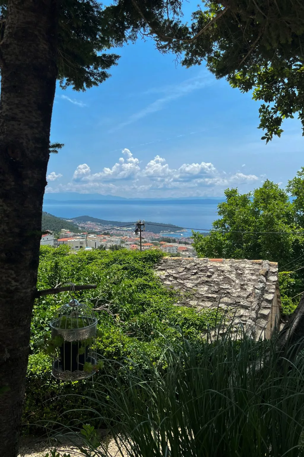 Bella Vista-Image-tags.info