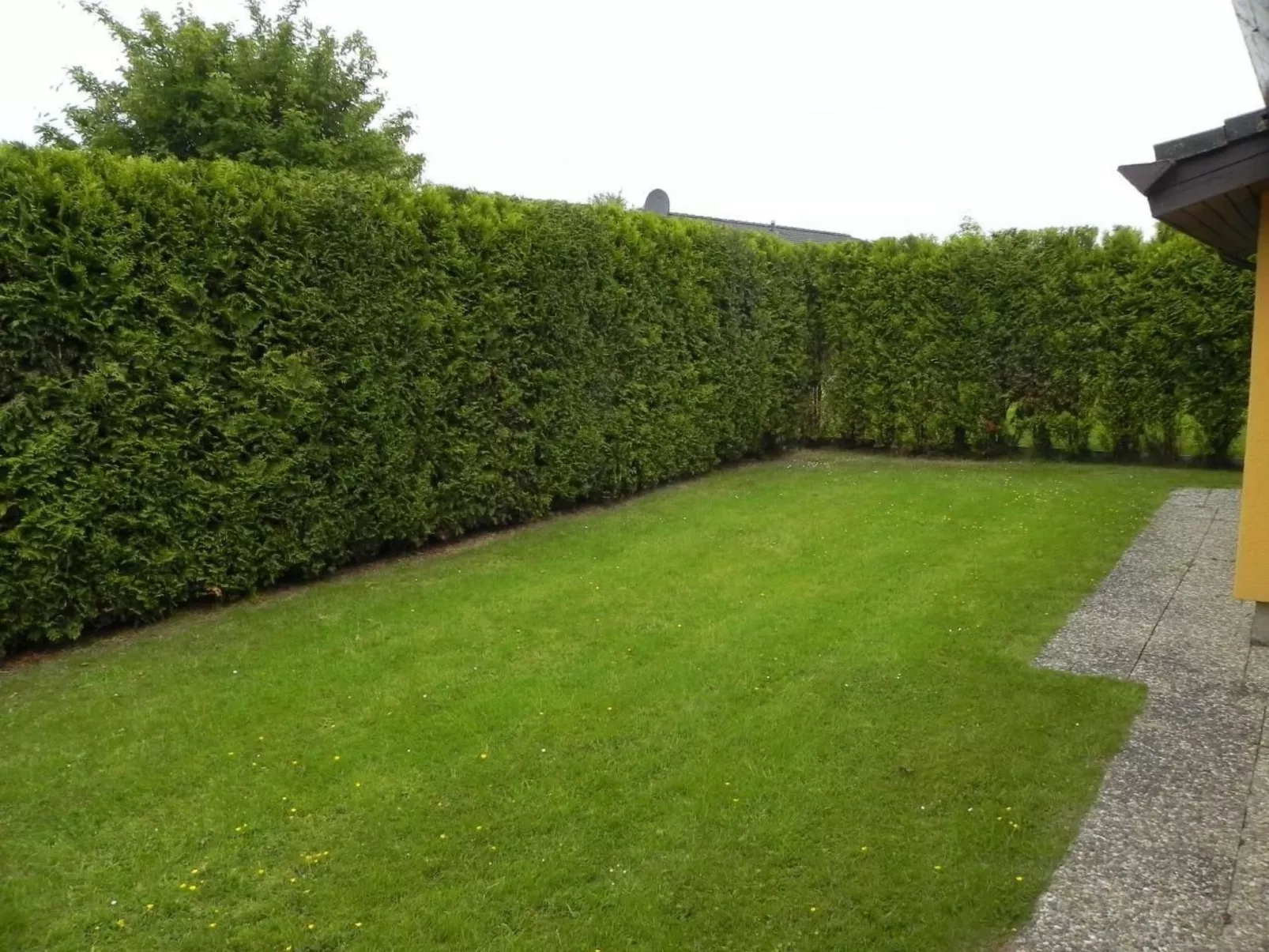 D4 Haus in Eckwarderhörne mit Terrasse und Garte-Draußen