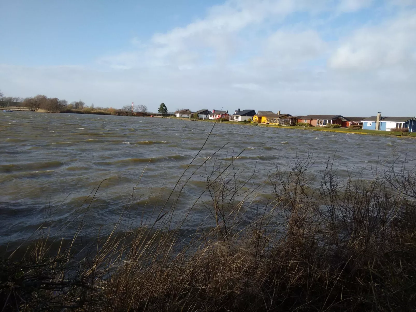 Eul in Butjadingen-Großwürden-Dehors