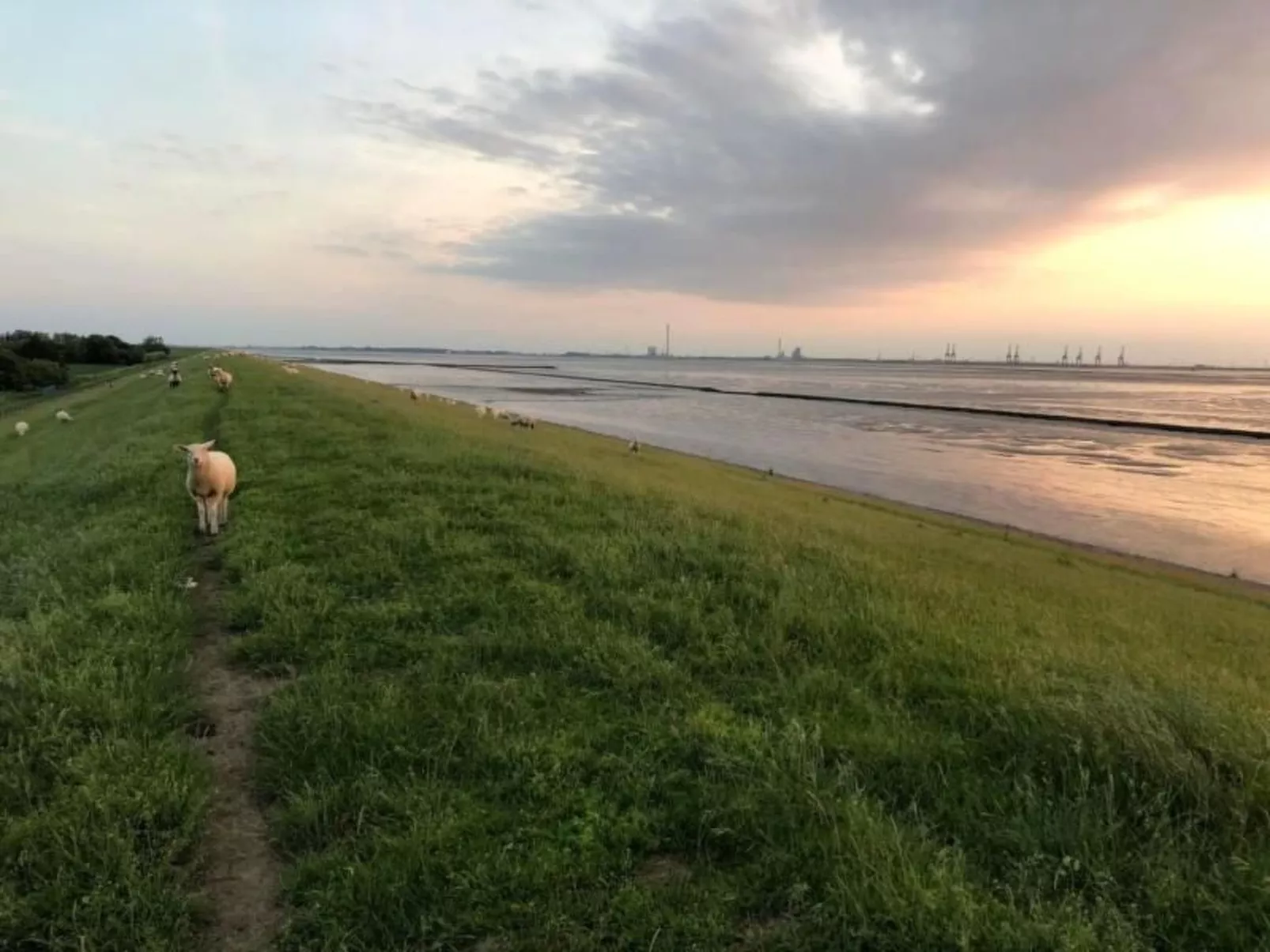 Deichhof Tossens-Draußen