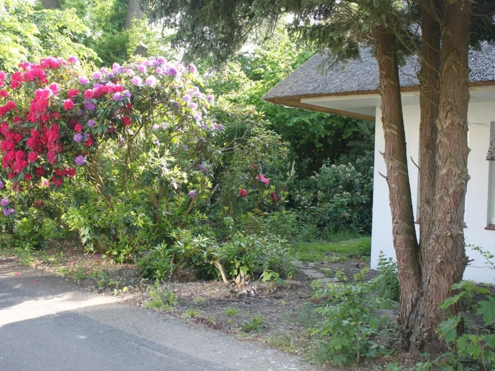 In Stollhamm mit Großem Garten-Draußen