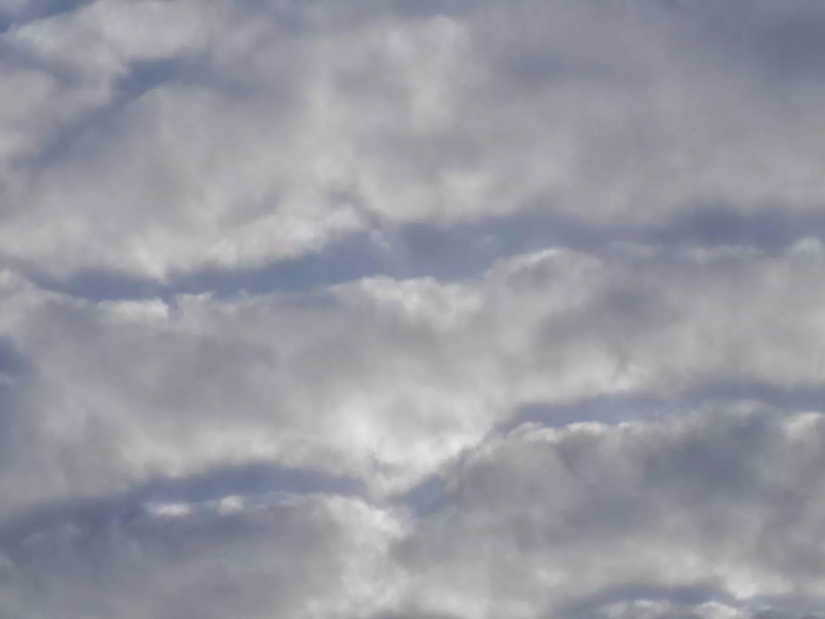 Seepferdchen-Draußen