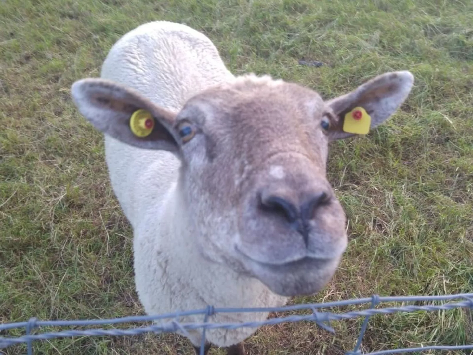 Nordseeliebe in Burhave-Dehors