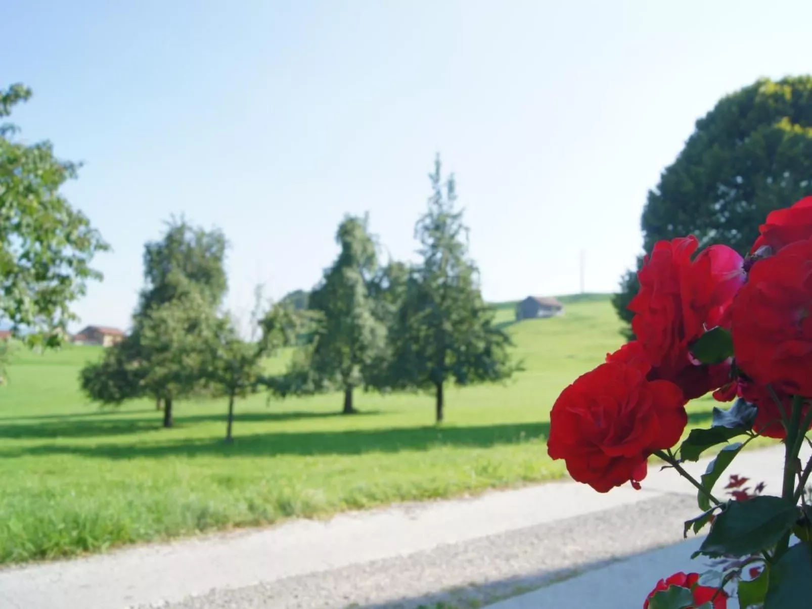 Auf dem Bauernhof-Dehors