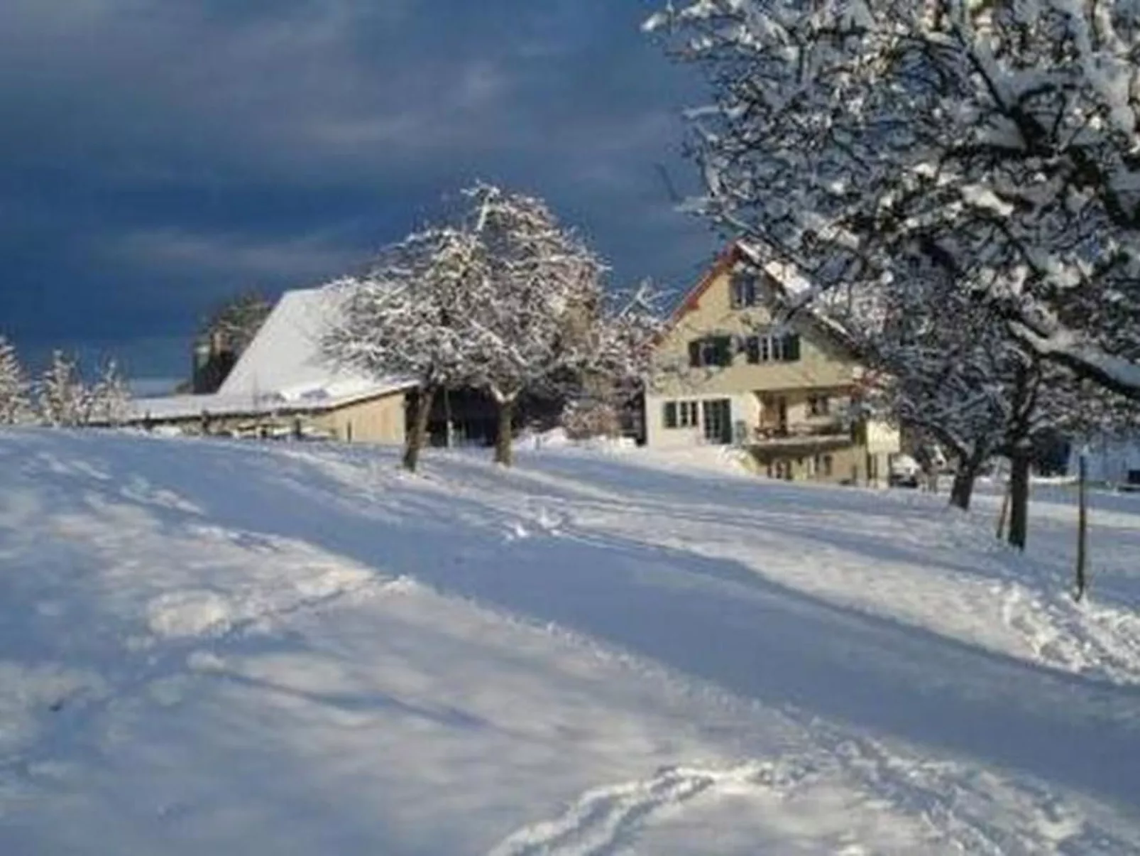 Biohof-Enderlin-Draußen