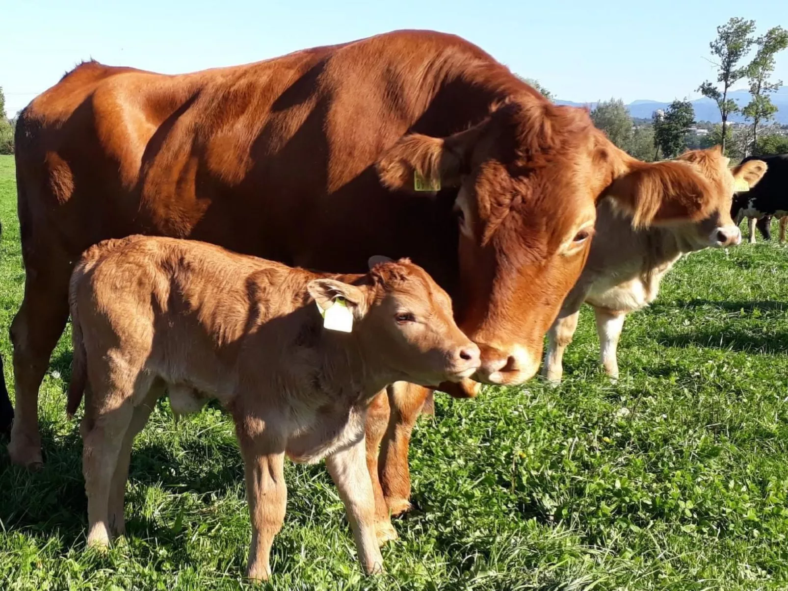 Sidlers Neuhof-Outside