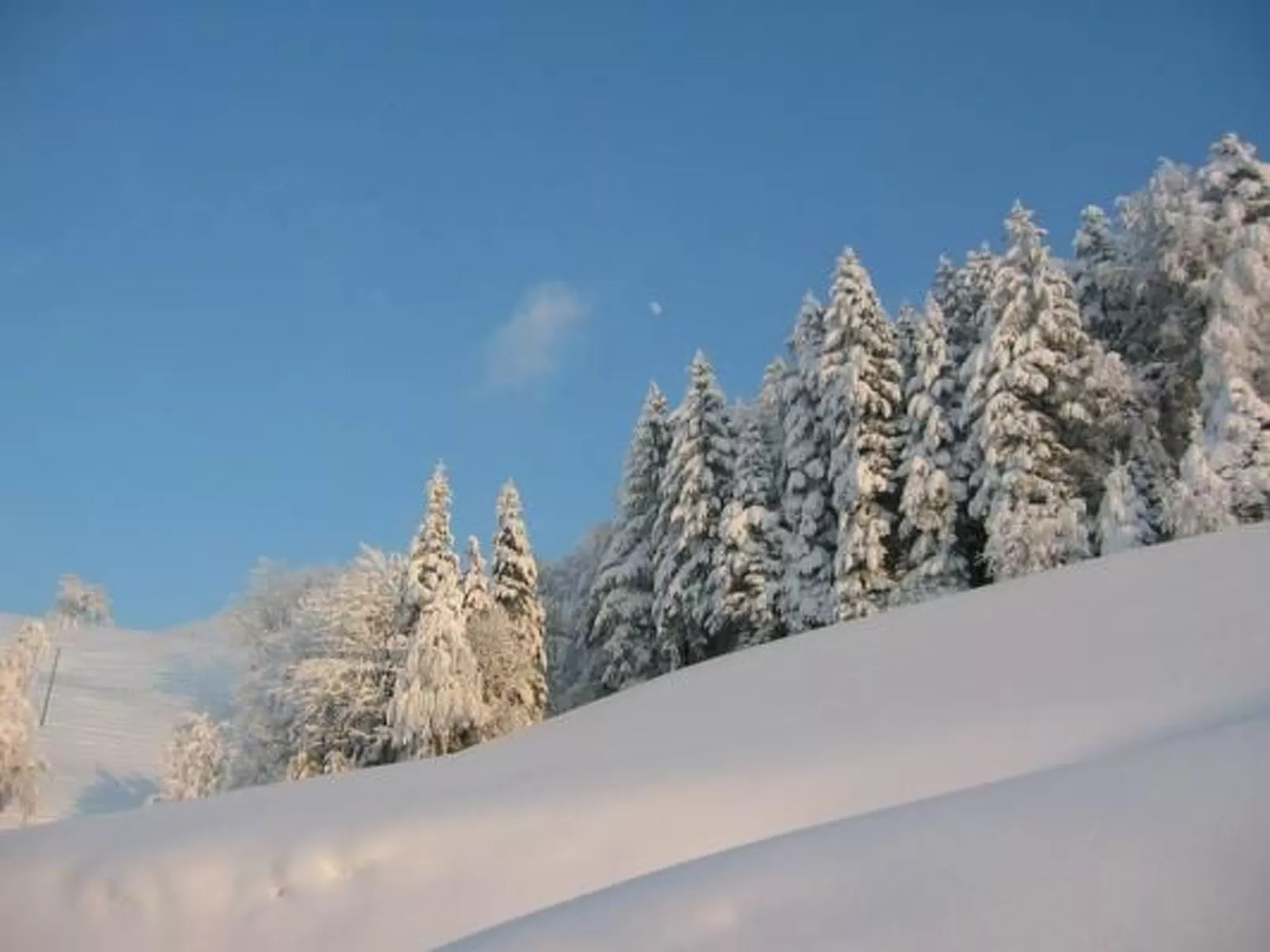 Ober-Tiefenbühl-Dehors