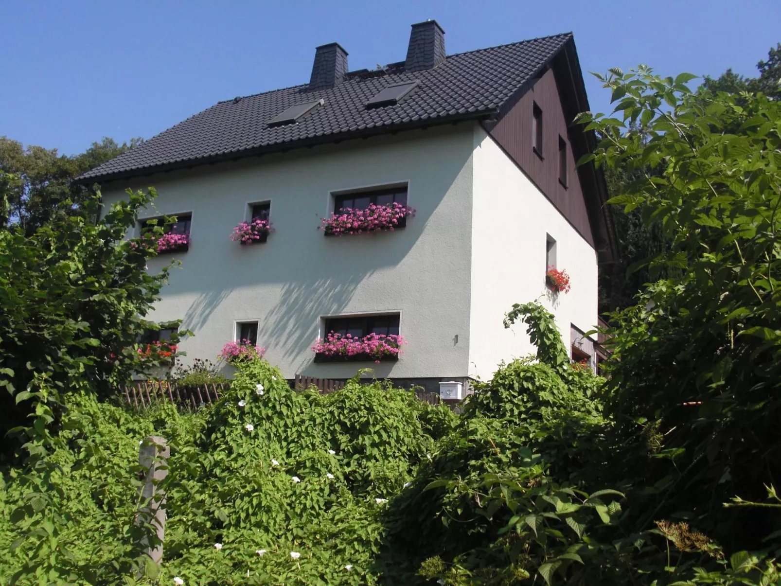 Rosental-Image-tags.info