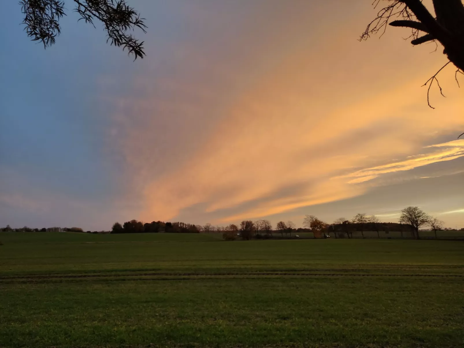 Janet Ratschkowski-Draußen