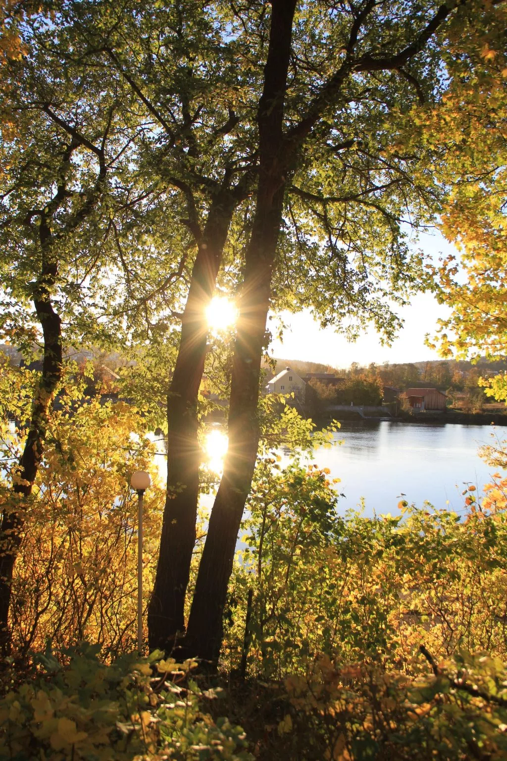 Schwalbennest-Draußen