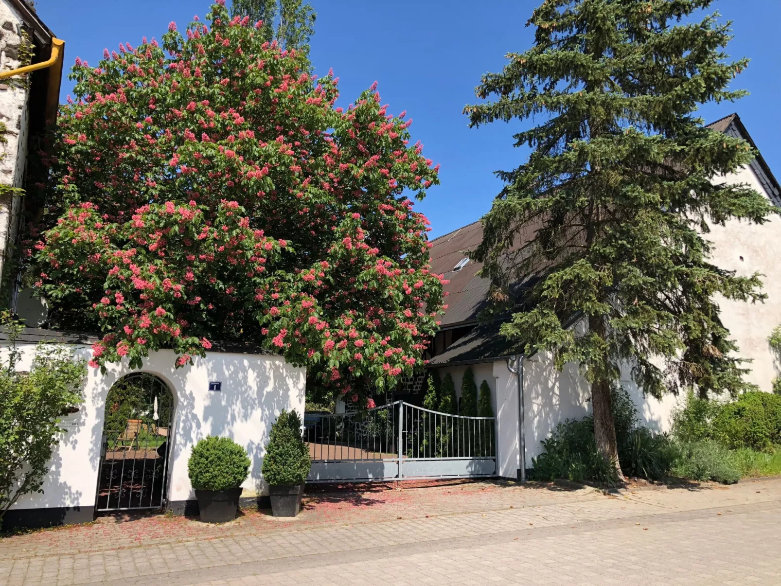 Weyerhof-Image-tags.info