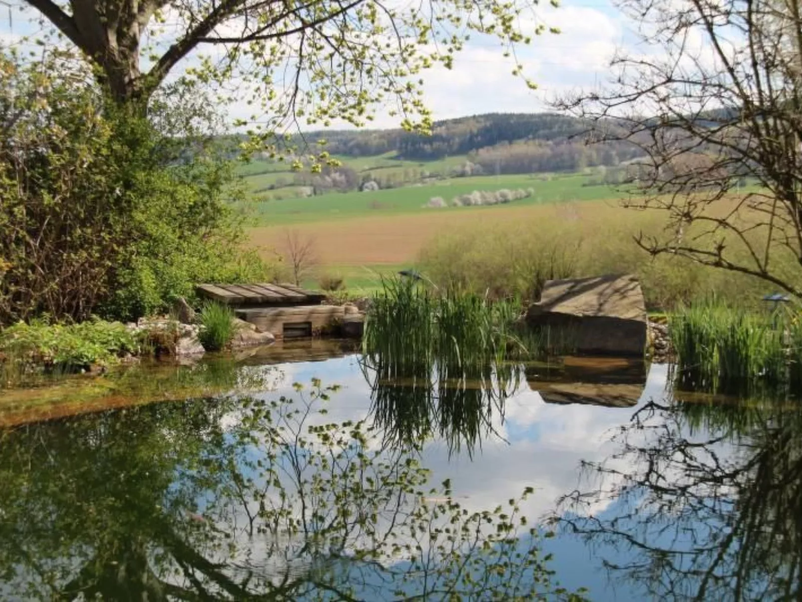 Appartement mit Terrasse-Outside
